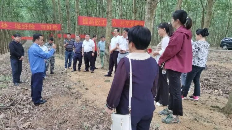 全國割膠冠軍張健給各單位學員做標準化膠園建設及割膠技術的經驗介紹。.jpg